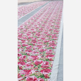 چادرخیمه اسکلتی آستردار 6در4